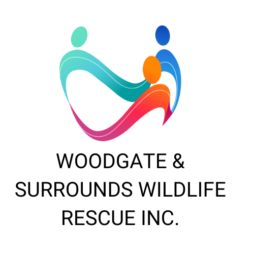 Organization Logo